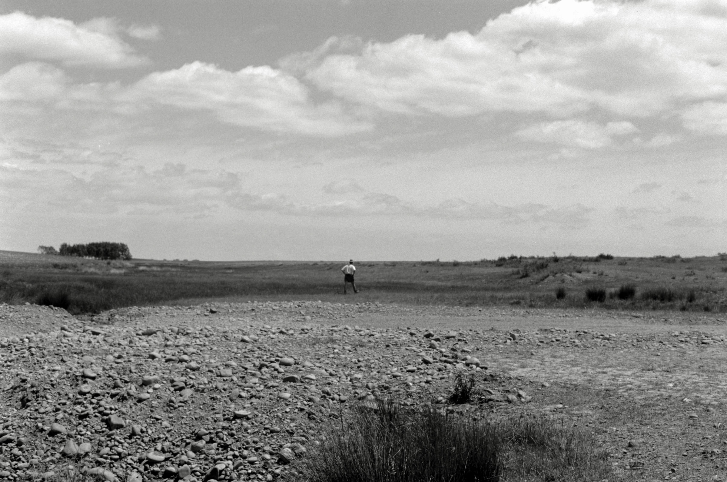 AHP F1995 05 009 sc240826 img32 NLP